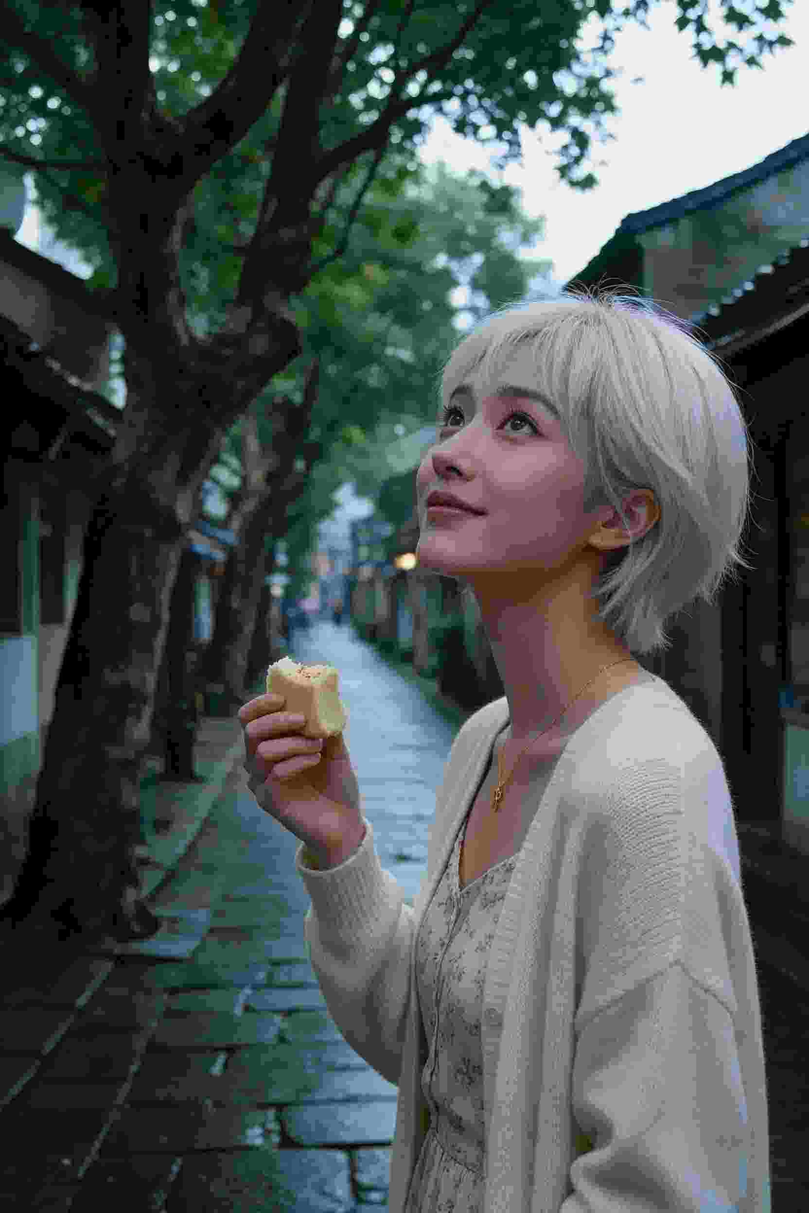 动画